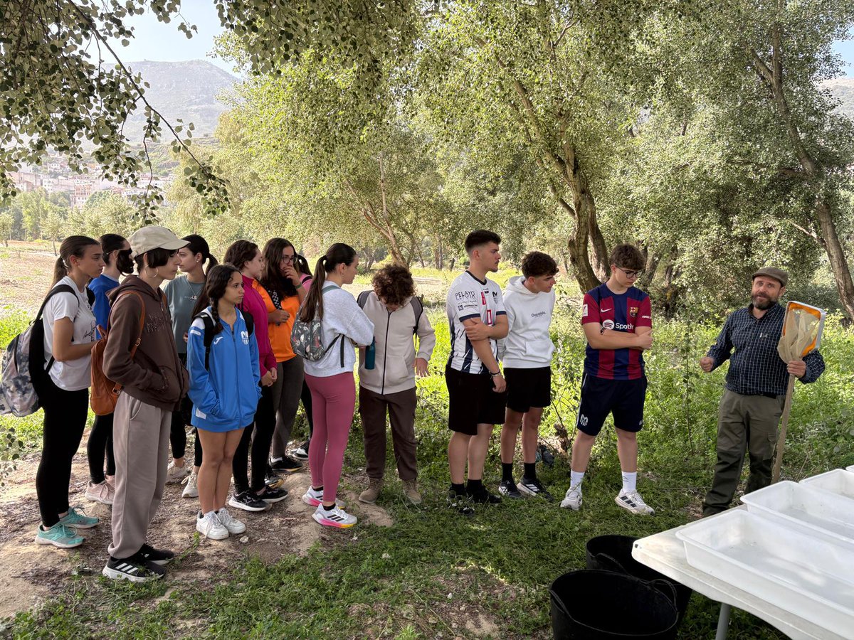 El Corto de Loja tweet media