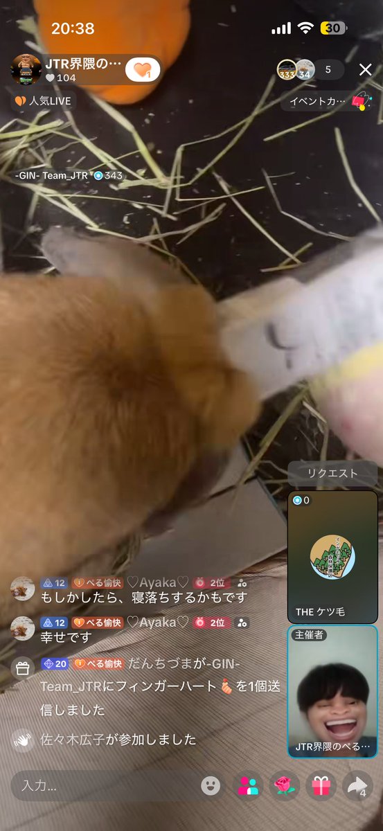 ピンクの大きい人 tweet media