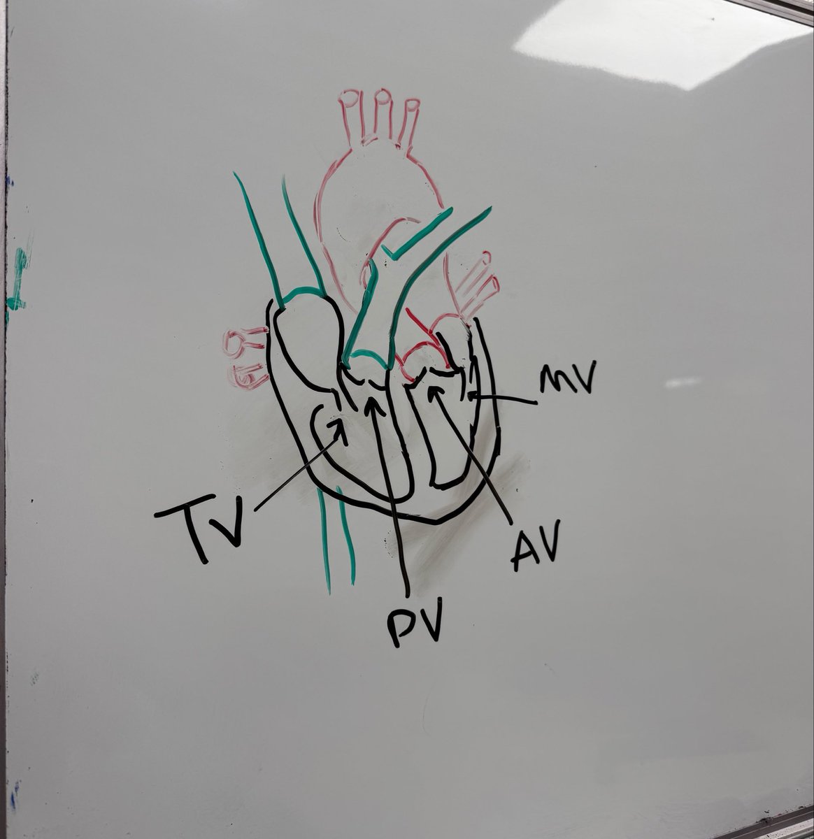 رَهف tweet media