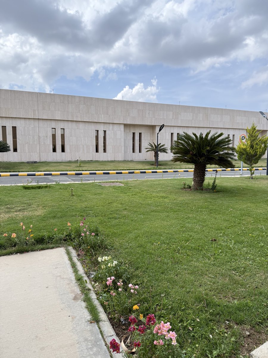 رَهف tweet media