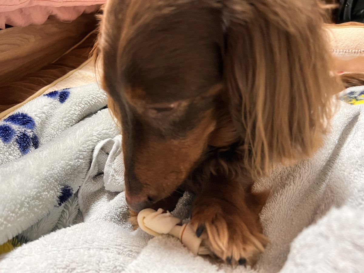 キースのママ😊 tweet media