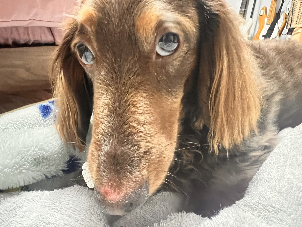 キースのママ😊 tweet media