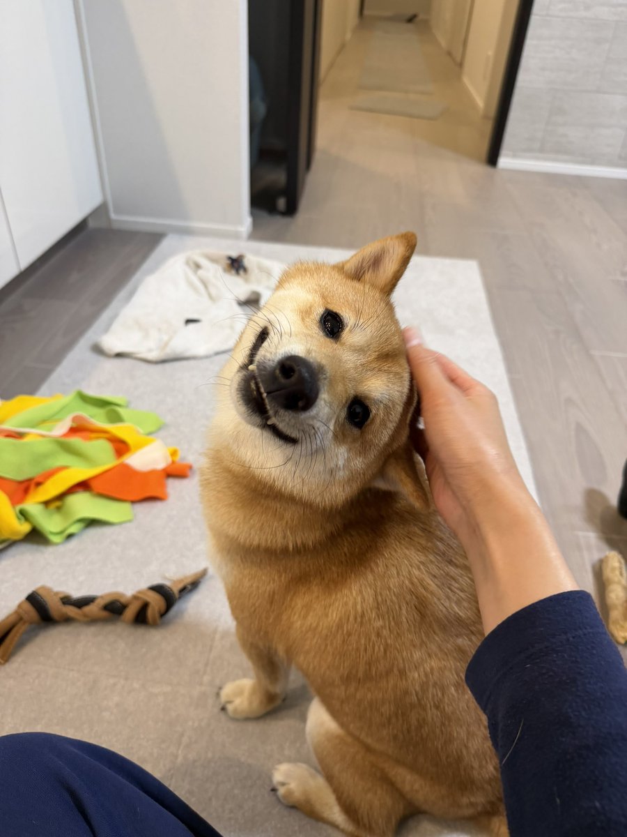 首折れちゃうよ🤭