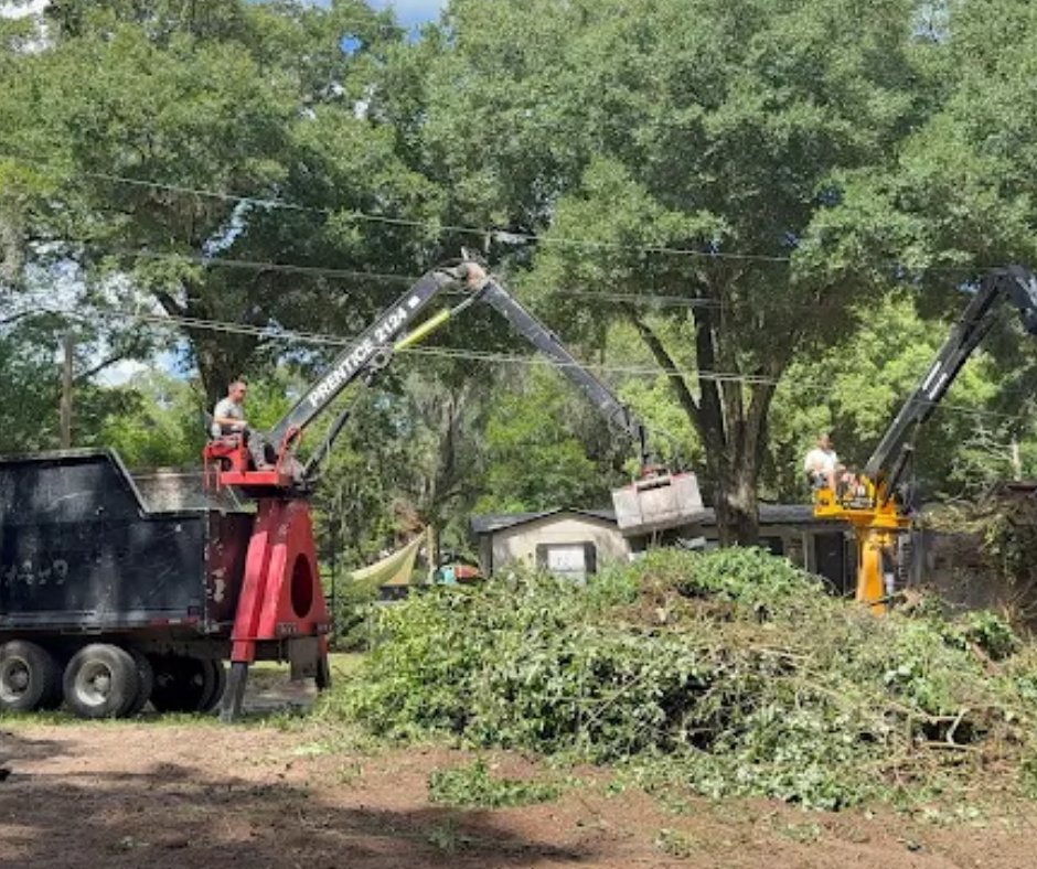 TreeGateway's tweet image. Tree removal near homes 
In Lake City, FL, it’s all about control—not just cutting.

✔️ Set safe drop zones
✔️ Cut in small sections
✔️ Protect roofs, walls &amp;amp; yard

Every step is planned for safety.

#LakeCityFL #TreeCare #Arborist