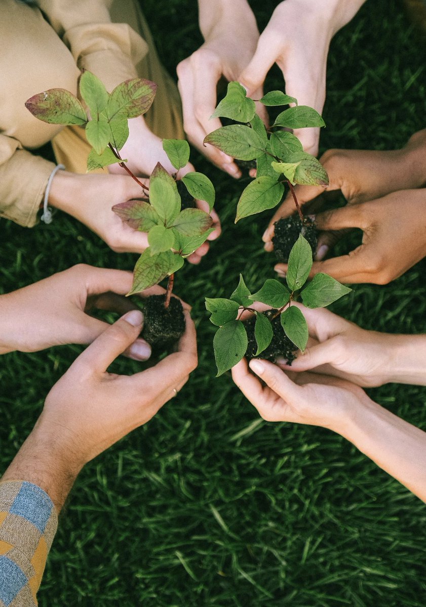 YihanL74876's tweet image. I  use my power to guard the green earth and cherish every natural gift .
#EarthDay #OurPowerOurPlanet #WYDF #APGYD