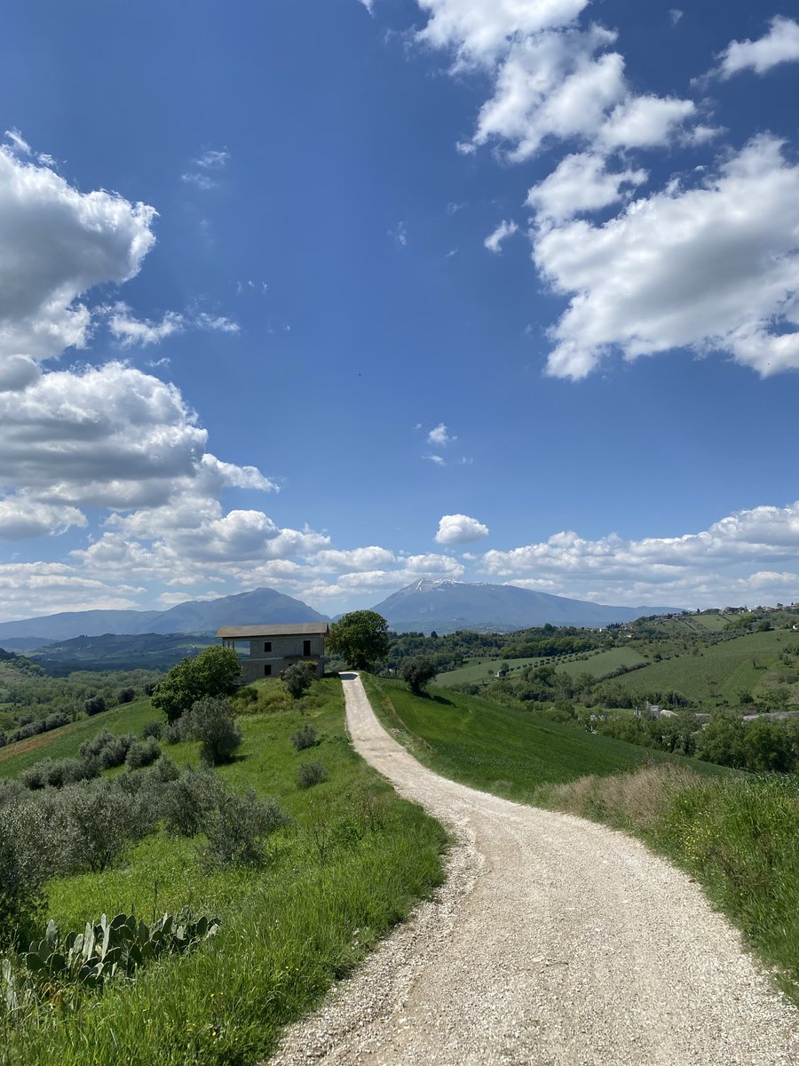 Anette Rombout tweet media