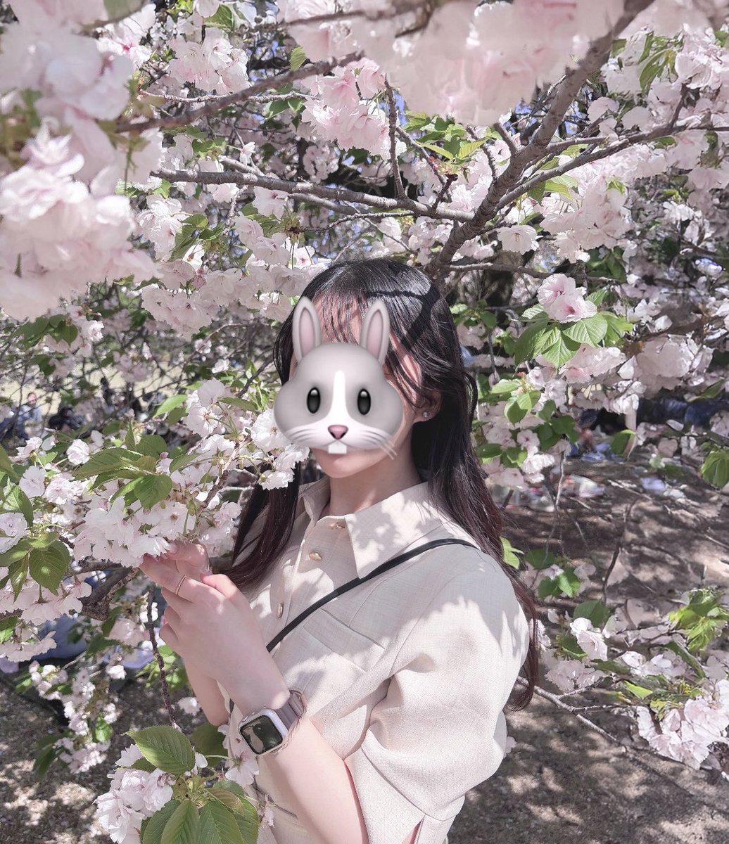 もち子🐰 tweet media