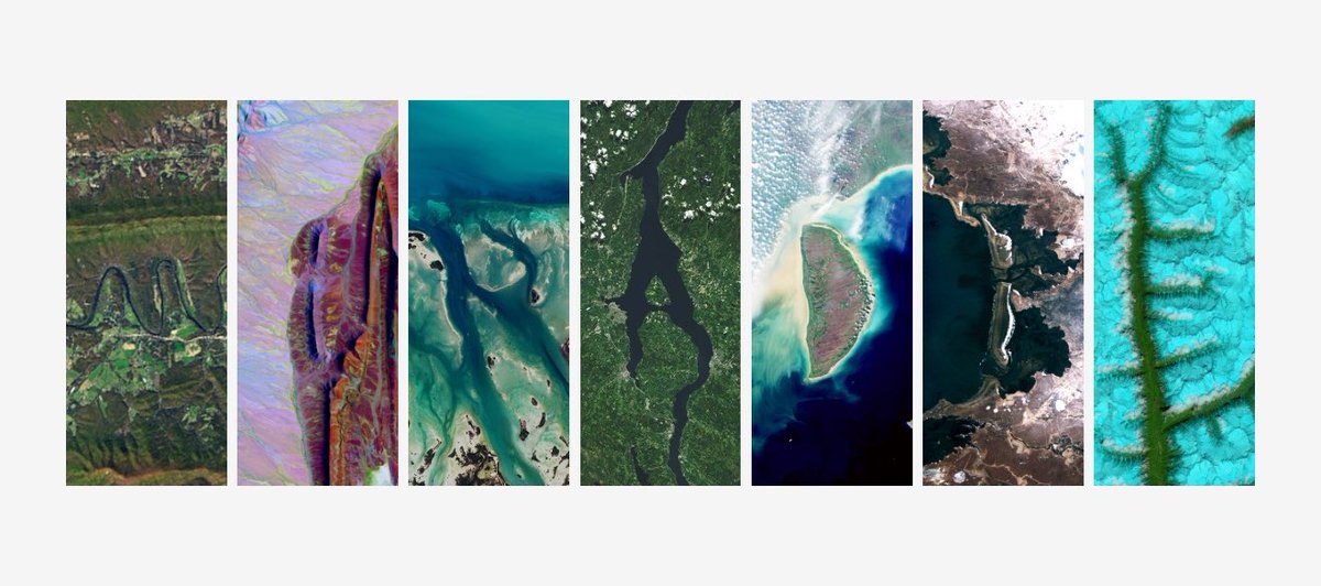 🩰☕️ tweet media