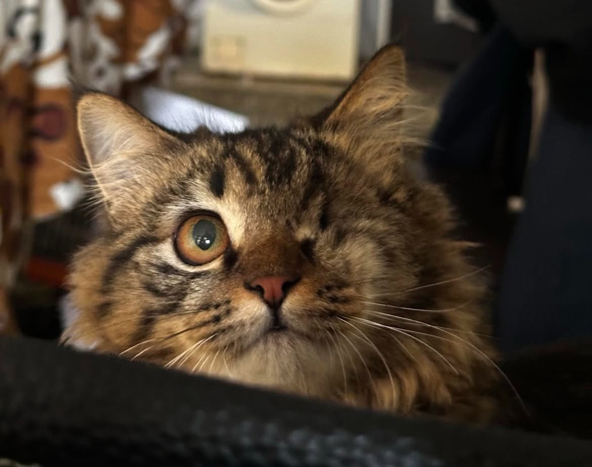 فاطی 🌱 tweet media