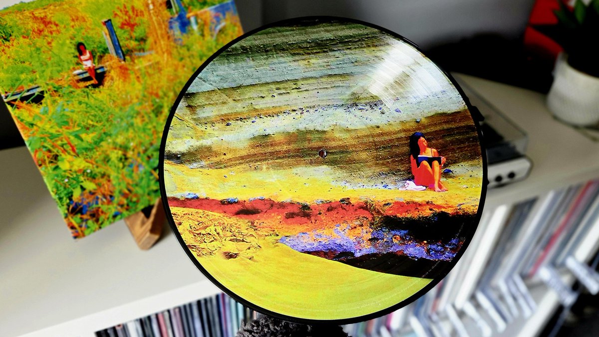 Ollie 🎶 tweet media