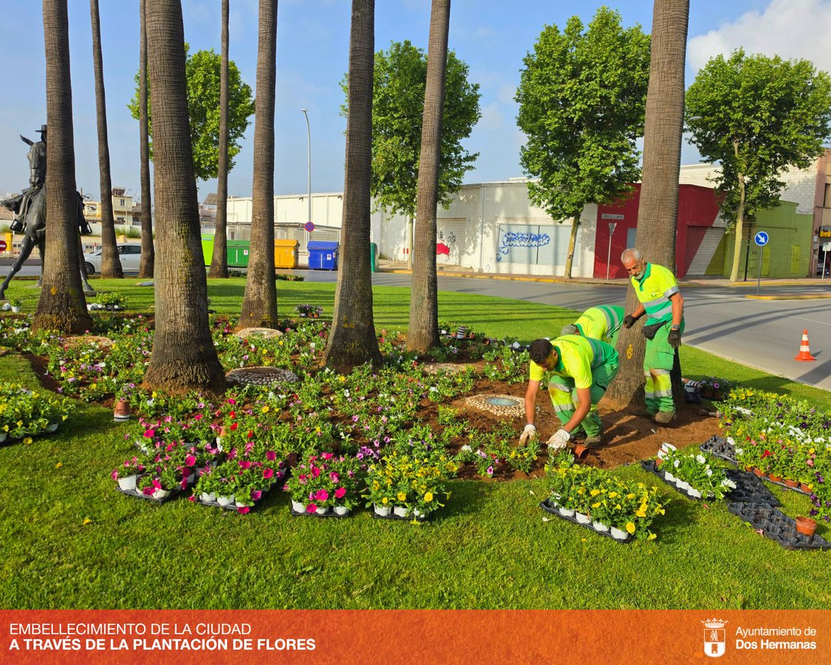 🔴#Obras | Con motivo de la llegada de las fiestas de la primavera, el Ayuntamiento de Dos Hermanas está llevando a cabo trabajos de ornamentación en diferentes plazas y glorietas de la ciudad mediante la plantación de especies de temporada.