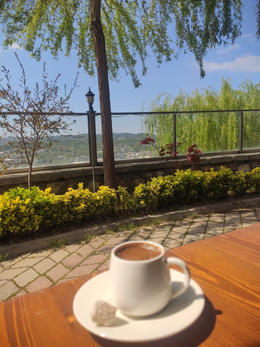 Mirza Bey tweet media