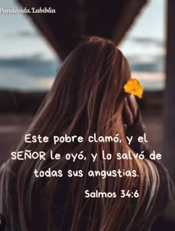 Jesucristo es el camino. tweet media