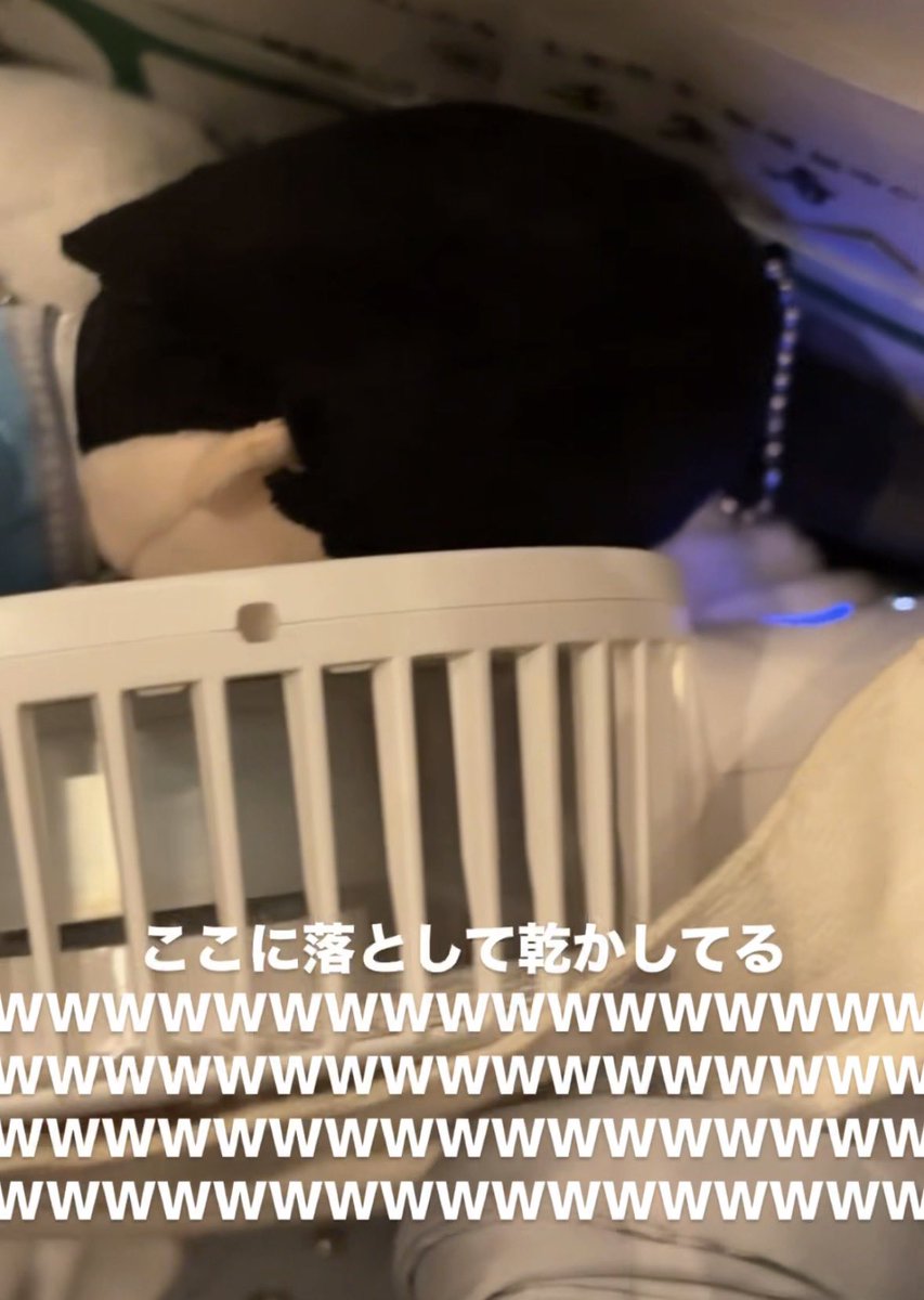 えぬƾま tweet media