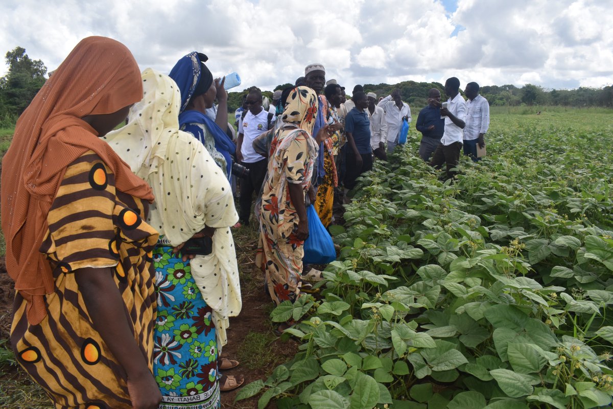 WatDev1's tweet photo. #WATDEV promotes BMPs &amp; innovation in wider areas in Kenya!
26–27 March 2026, farmers &amp; experts came together to advance sustainable agriculture.🌱
Tackling droughts, floods &amp; soil degradation
Hands-on learning at Laza Irrigation Scheme
Empowering resilient farming communities.💦 https://t.co/YqqjIXnmtt