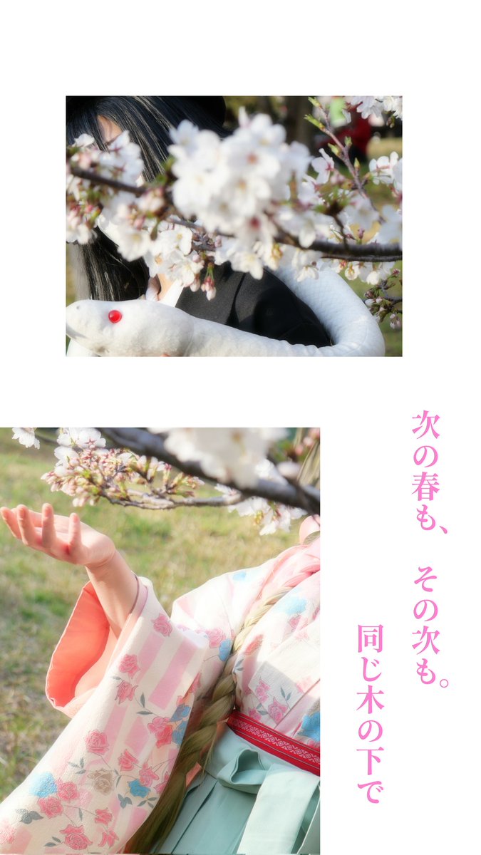 ほ黒丸 tweet media