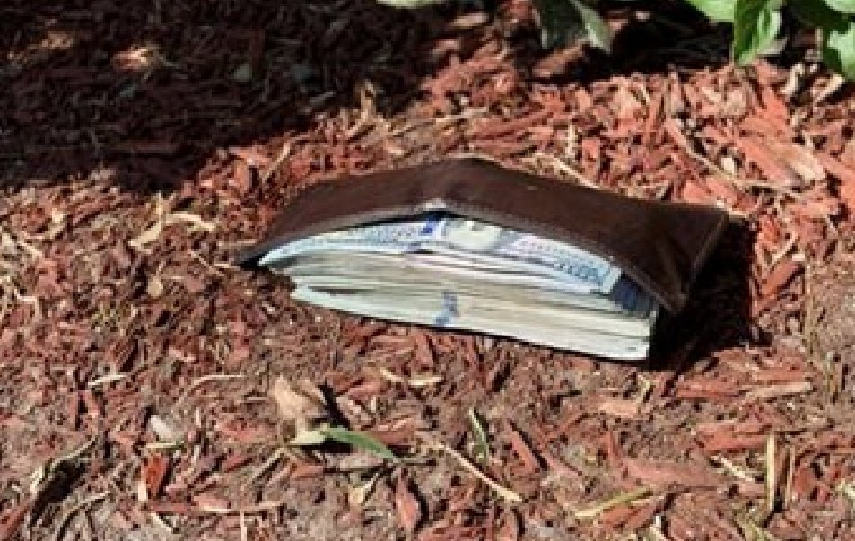 جوجو 🇸🇦💛 tweet media