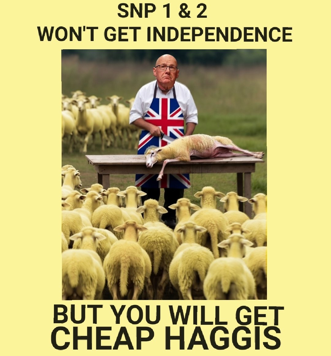 TheIndyNinja1's tweet photo. #CheapHaggis as slow minded sheep walk calmly to the slaughter. #SNP1&2 https://t.co/AdHQlq7oye