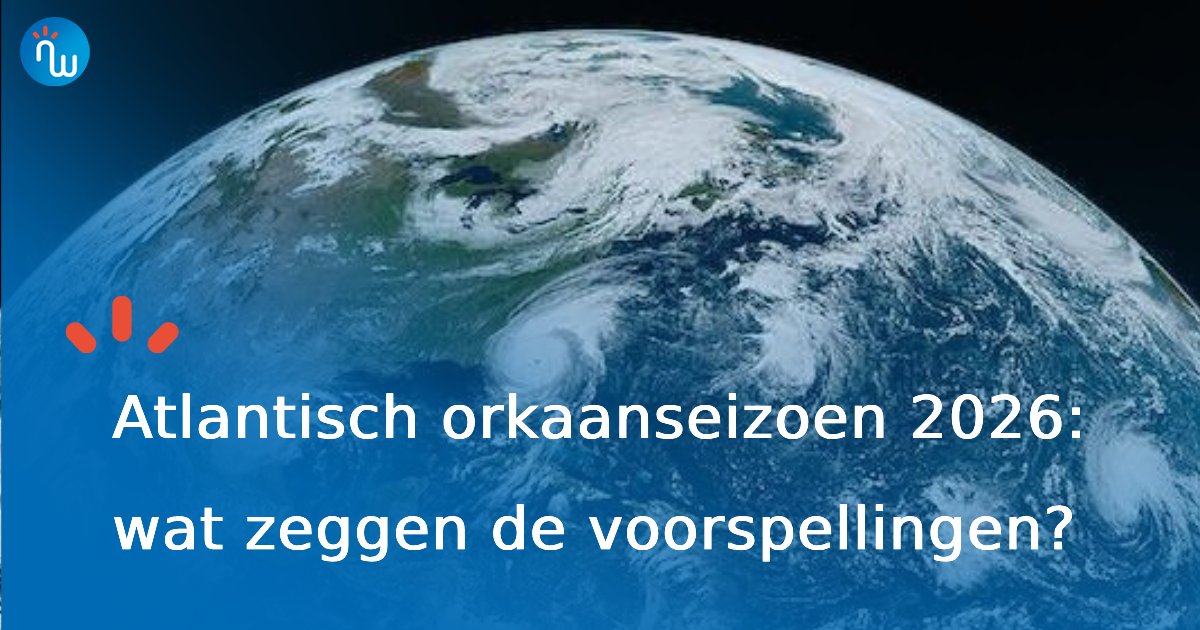 Kathelijne Bonne tweet media