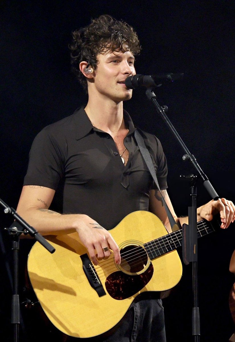 Shawn Mendes