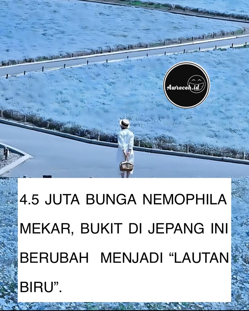 sosmed keras tweet media