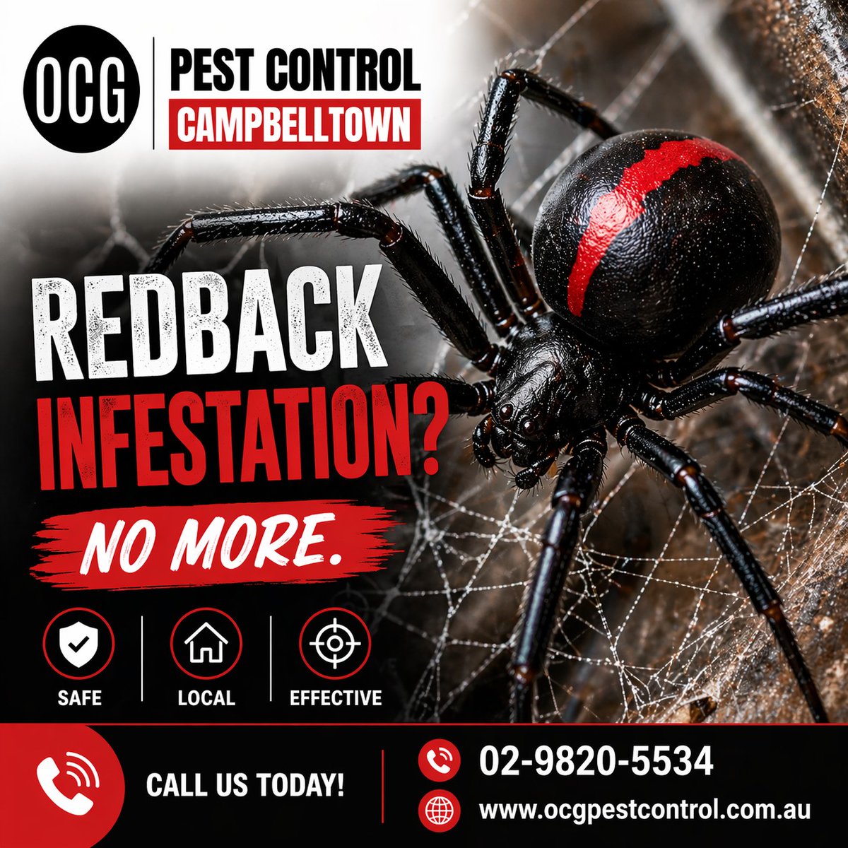 OcgPestControl's tweet photo. 𝗥𝗲𝗱𝗯𝗮𝗰𝗸 𝗦𝗽𝗶𝗱𝗲𝗿𝘀 𝗔𝗿𝗼𝘂𝗻𝗱 𝗬𝗼𝘂𝗿 𝗛𝗼𝗺𝗲? 𝗞𝗻𝗼𝘄 𝗪𝗵𝗲𝗿𝗲 𝘁𝗼 𝗟𝗼𝗼𝗸!

Redbacks love dark, undisturbed areas—and they could be hiding closer than you think 👀

📍 OCG Pest Control – Protecting homes across Sydney
📞 Book your spider treatment today! https://t.co/UIsmFplUxR