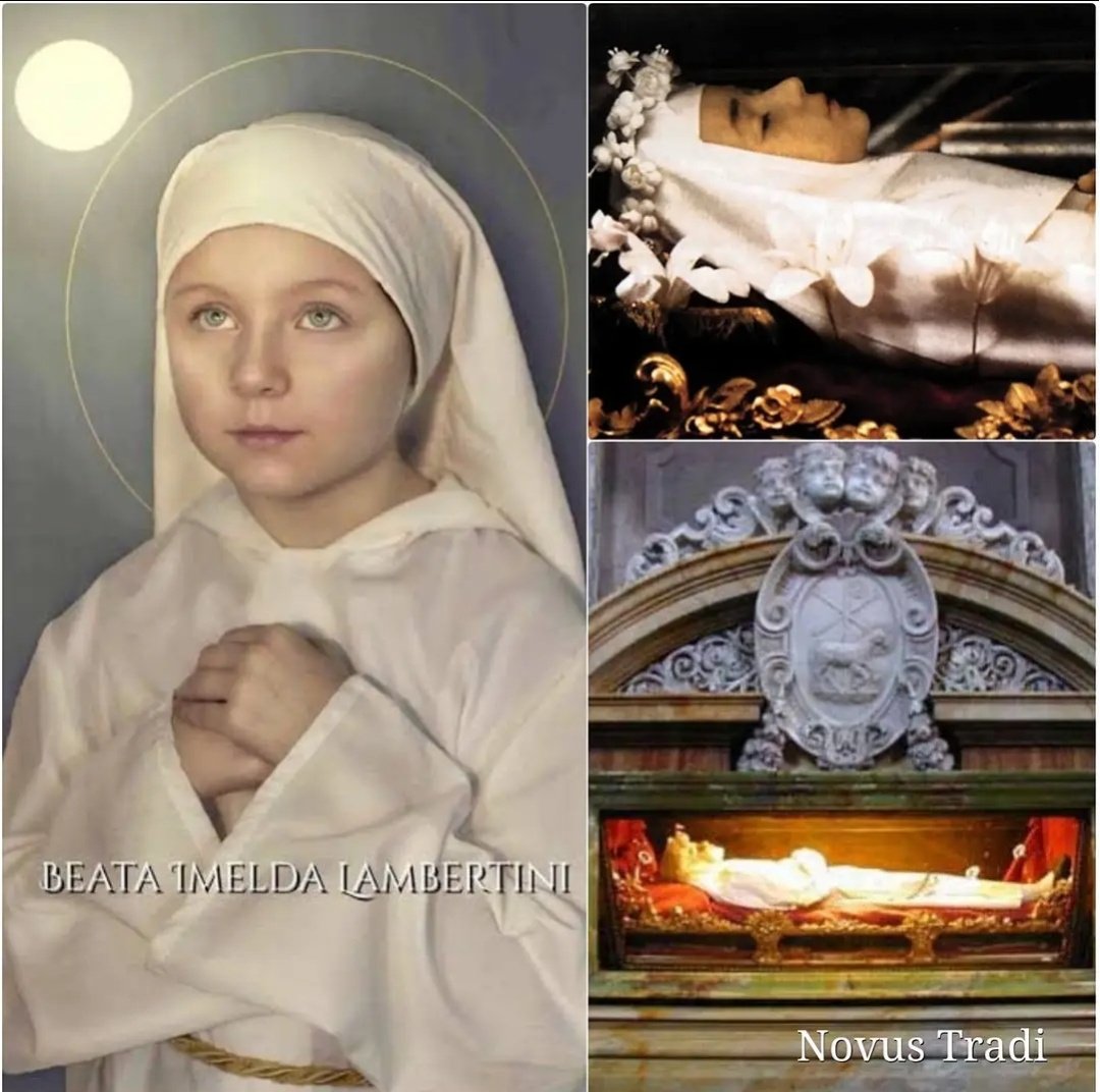 PaiCatólico 🇻🇦 tweet media