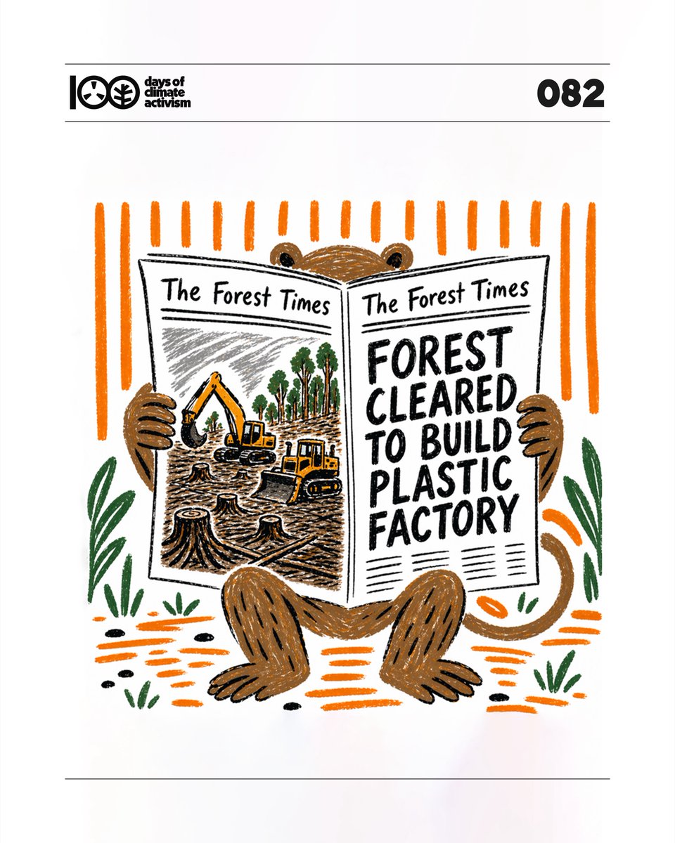 David Bujjadda tweet media