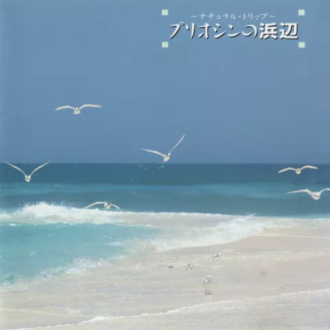 cozybao's tweet photo. Adding to this list, my personal favorites are:

Kenichiro Isoda - Beach of the Pliocene (1990)
Toshiya Sukegawa - Bioçic Music: Jewels (1994)
Brian Eno - Thursday Afternoon (1985)
Takashi Kokubo - Serenity (1999) https://t.co/DWGju15o8s