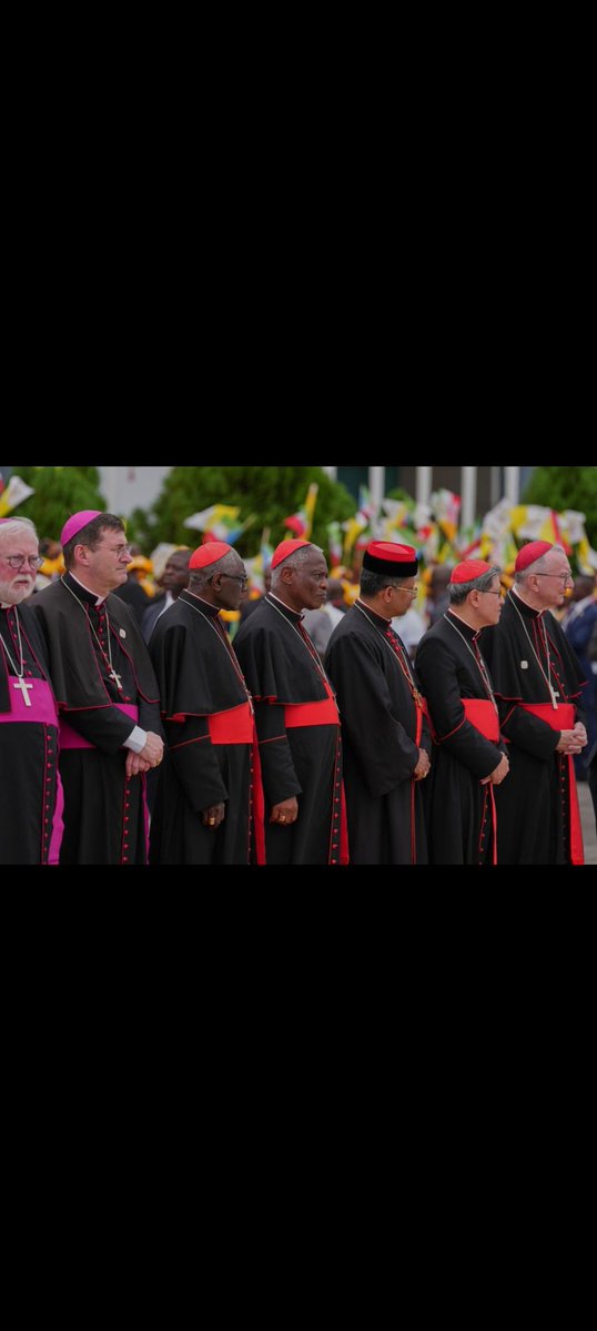 Echevaria tweet media