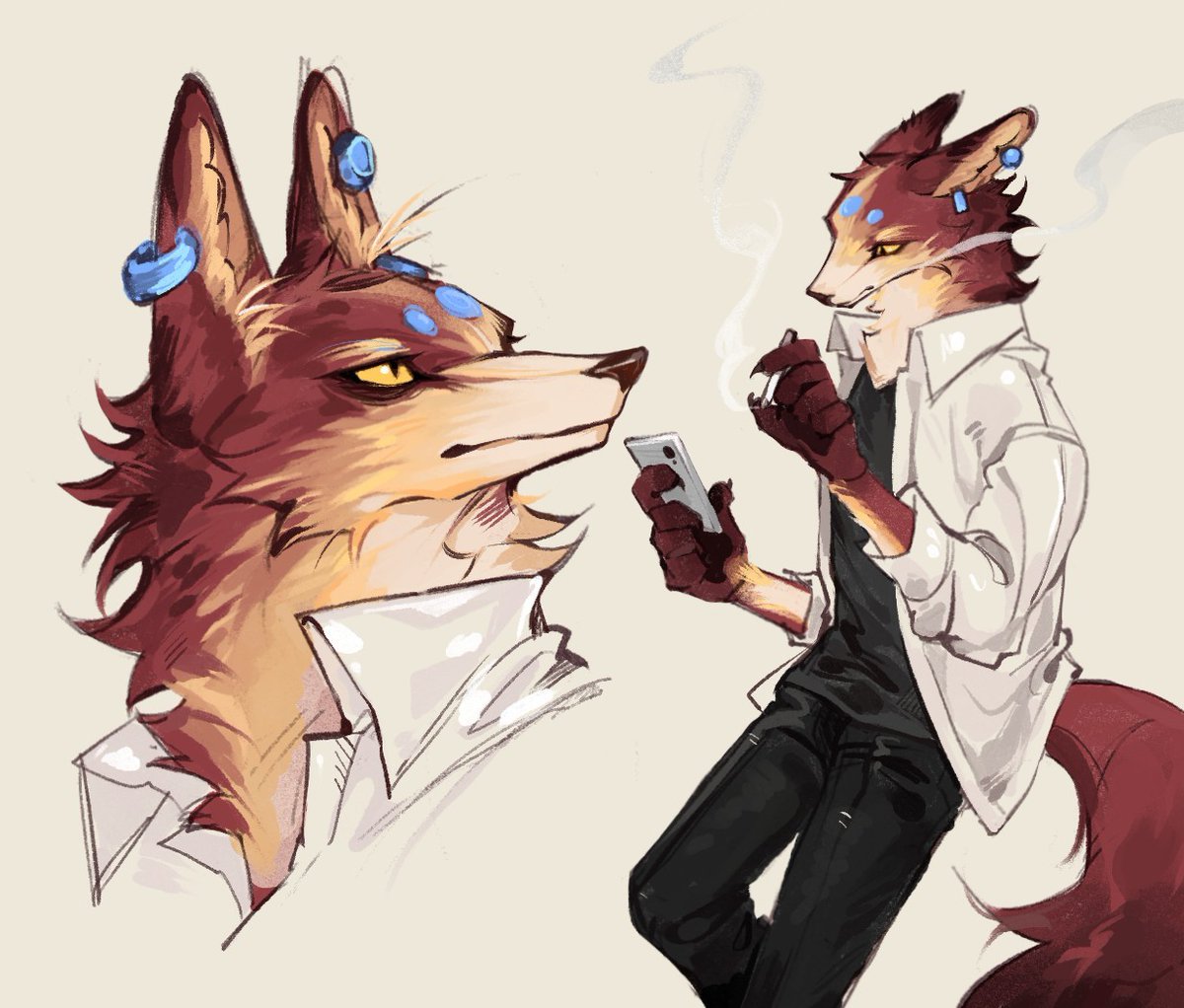 울프마 tweet media