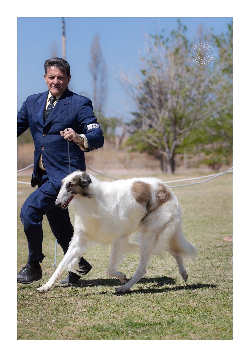 egoboy auratico tweet media