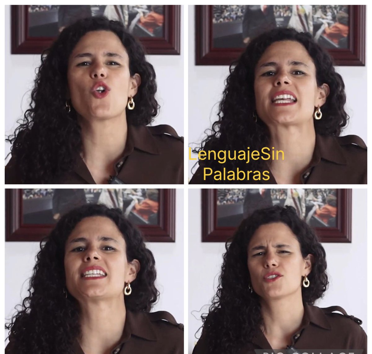 Bárbara Tijerina tweet media