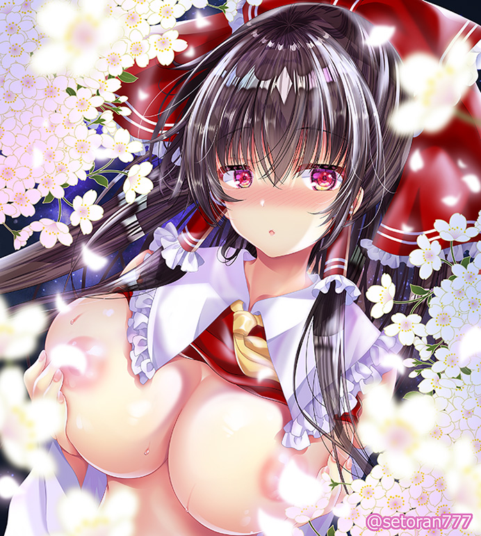 夜桜と博麗の巫女🌸 