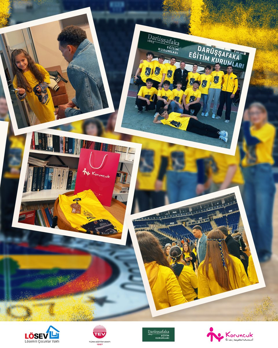 Fenerbahçe Beko tweet media