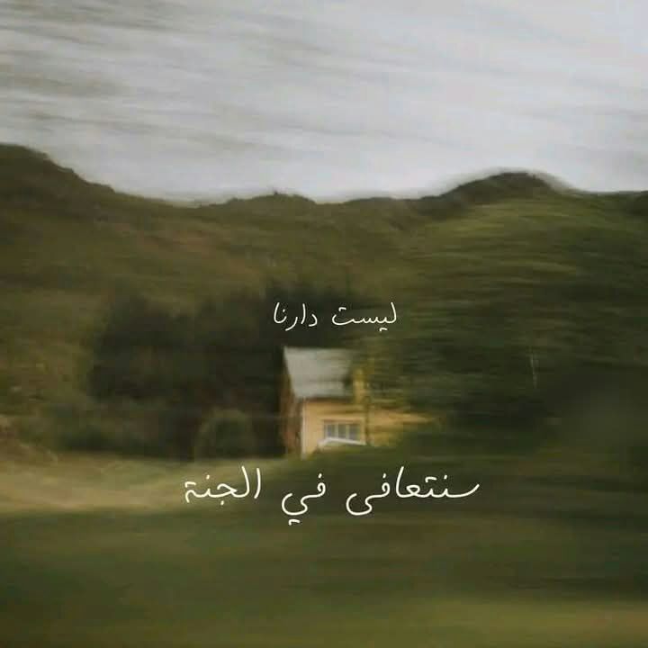 ♡سـمـۆ࿐ tweet media