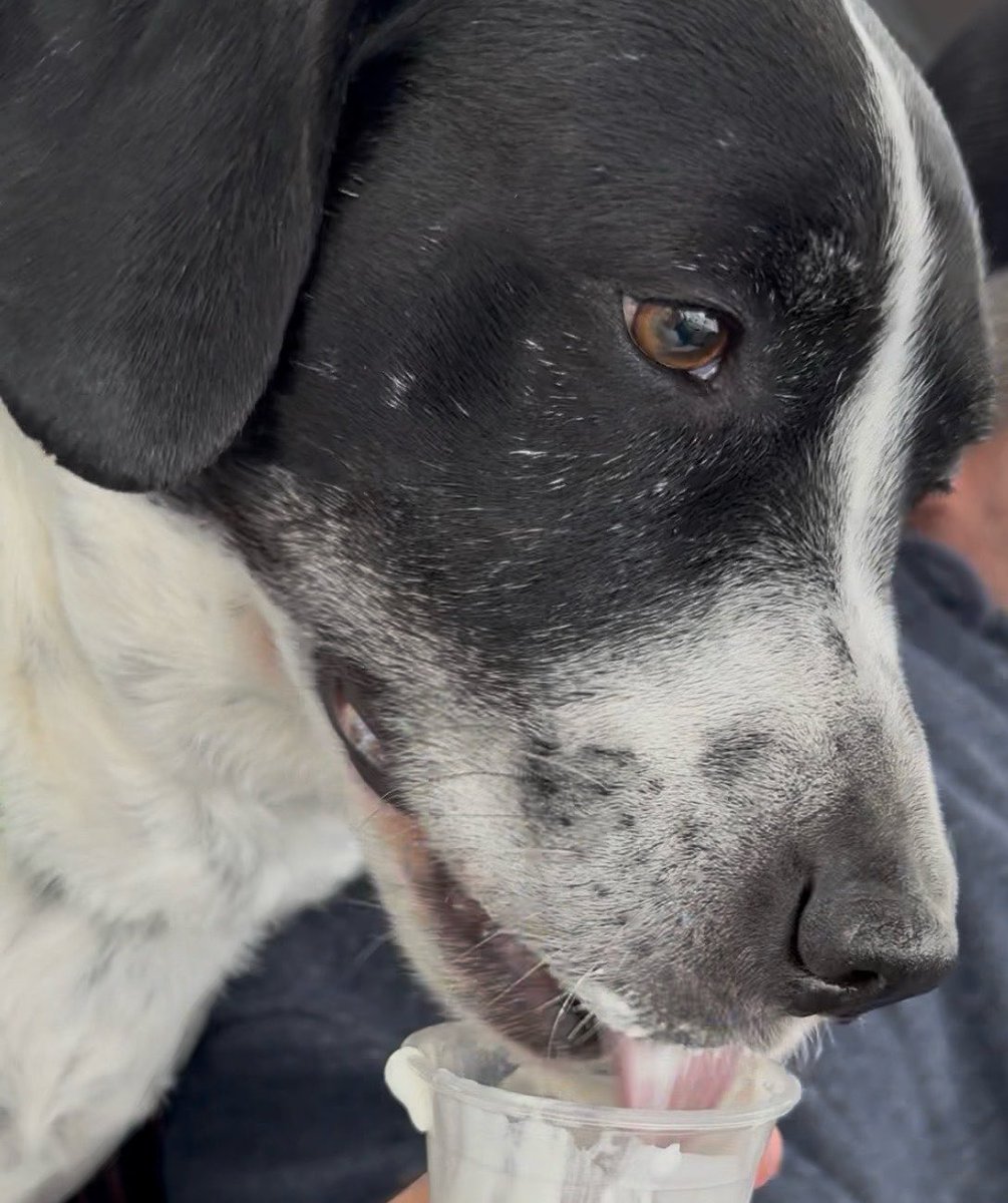 Julie Unruly 🐛🐌 tweet media