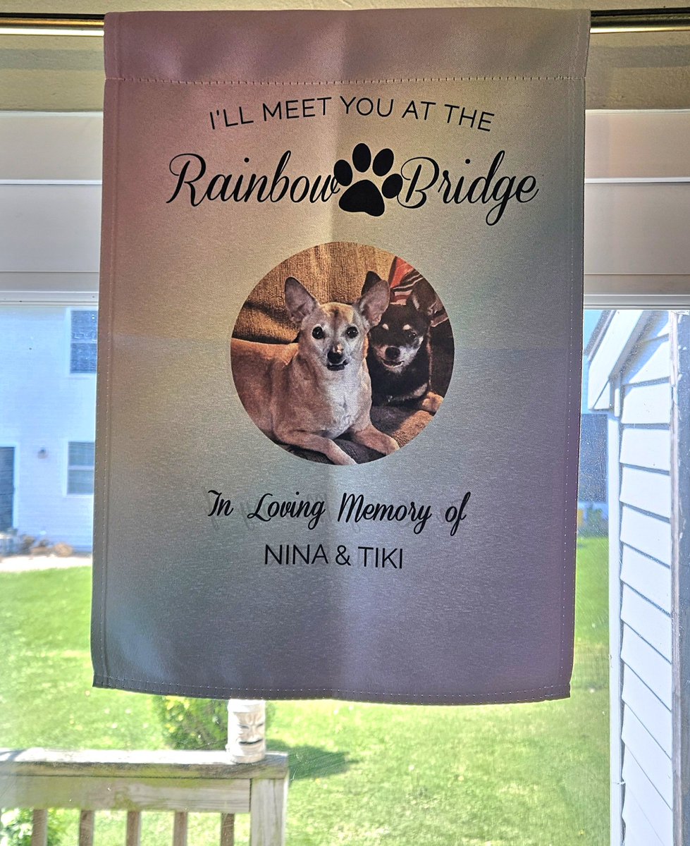 paco5775's tweet image. I am speechless.. mostly because I'm crying... Thank you, Danielle and family, @starlord4e for this priceless memory of the most beautiful girls in the world #dogsoftwitter #NinaAngel #TikiMyHeart #ForeverLoved