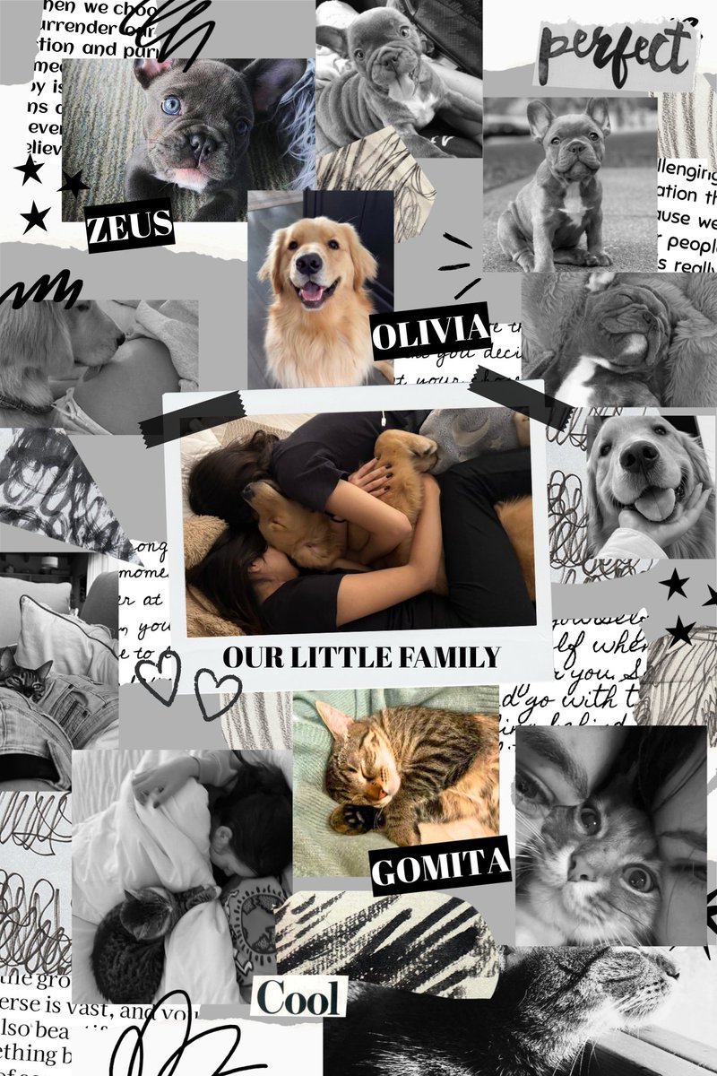 Lucylu_Gamxl's tweet photo. ⨾ 𝐈𝐍𝐒𝐓𝐀𝐆𝐑𝐀𝐌 𝐔𝐏𝐃𝐀𝐓𝐄 !
◜⎆◞ ﹫ Lᴜᴜᴄʏ_Gᴀᴍᴇs
｡ ｡ ｡
:🗓️: ៸៸ —— 23 de Abril.
:📍: ៸៸ —— Home.
❝ Nada me hace más feliz que compartir mis días con ustedes, mi pequeña familia🥰🖤🩷❞ https://t.co/WNXVJj3nWh