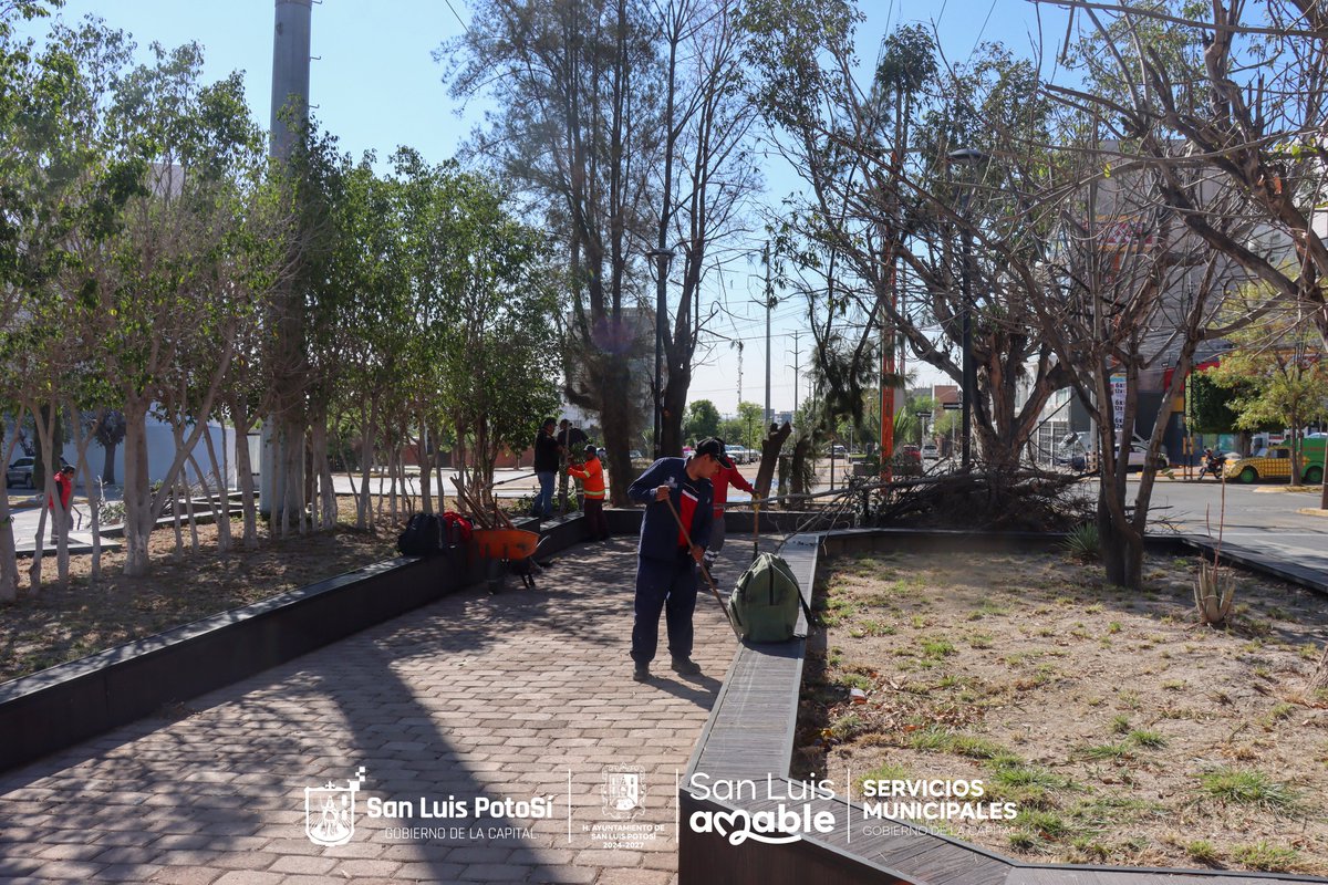 Servicios Municipales SLP tweet media