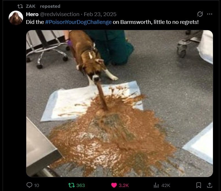 brainrot dimension tweet media