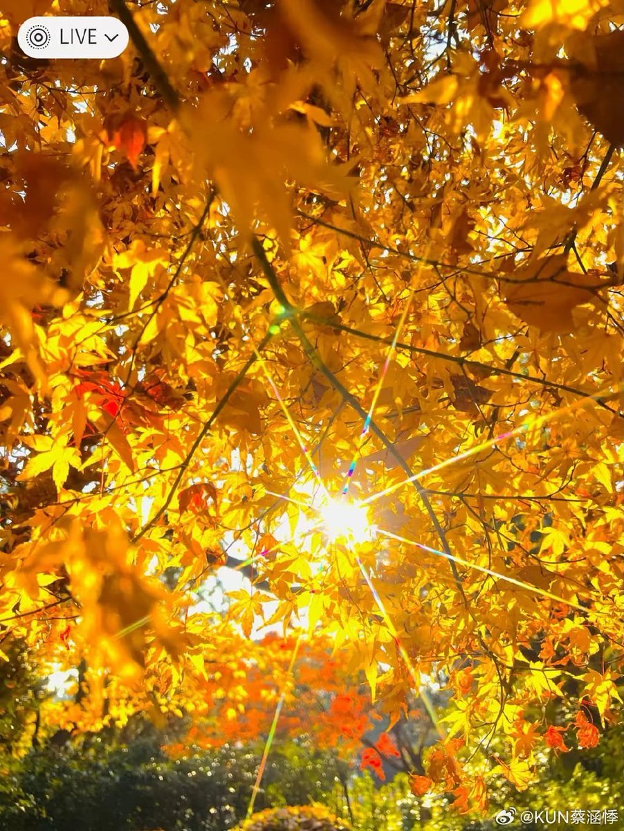 Edwin Cortes tweet media