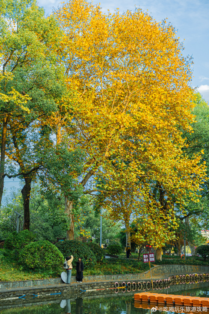 V.Subramaniam tweet media