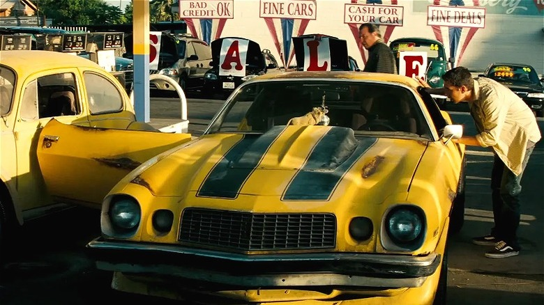 Dᴀɴɪᴇʟ ᴅ'ᴀʀᴄ tweet media