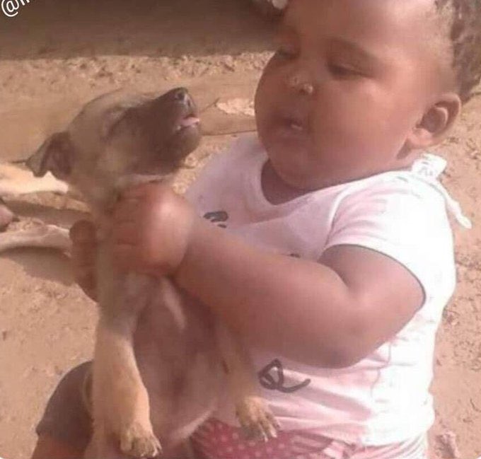 Osco Storch tweet media