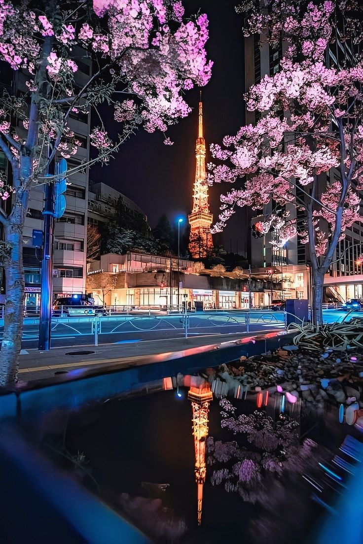Cherry blossom at night 🌉