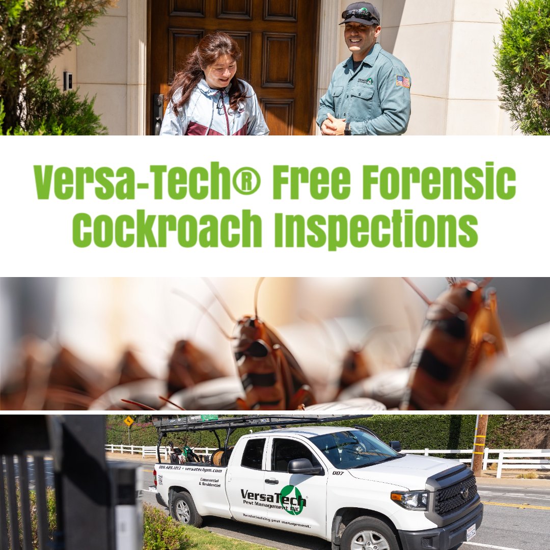 VersaTechPM's tweet image. Are you looking for a trusted #cockroachcontrol company in San Dimas or surrounding SGV? Versa-Tech® specializes in full scale coackroach elimination, prevention and clean up. Call us at  (888) 429-1213. #SanGabrielValleyPestControl #cockroaches #cockroachespestcontrol #roaches