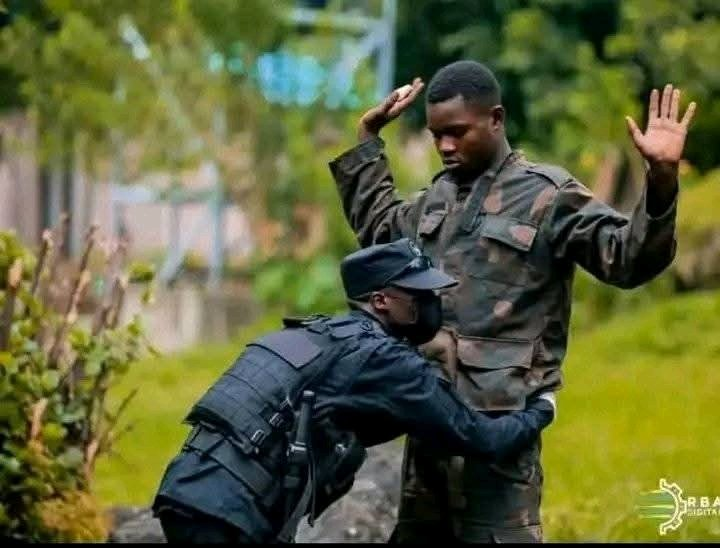 Osco Storch tweet media