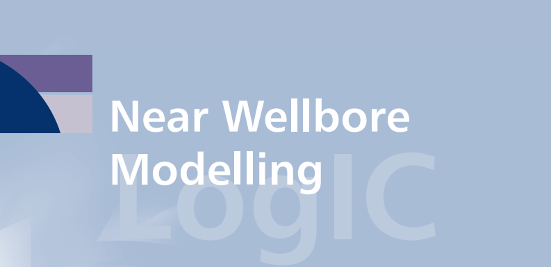 PLogicom's tweet image. Working with wellbore image data but struggling to extract clear insights? This resource explains how image analysis supports better geological interpretation. Download and review: logicomep.com/wp-content/upl… #Geoscience #OilAndGas