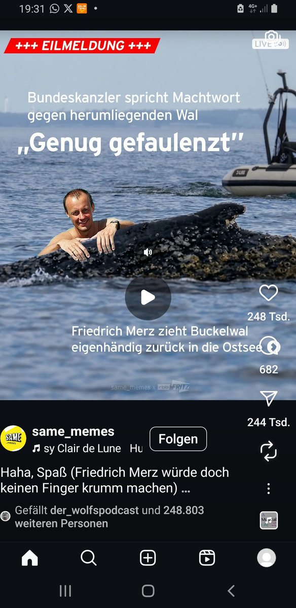 Iris im Chaos tweet media